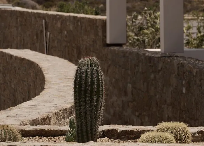 מלון Yi Mykonos 4*